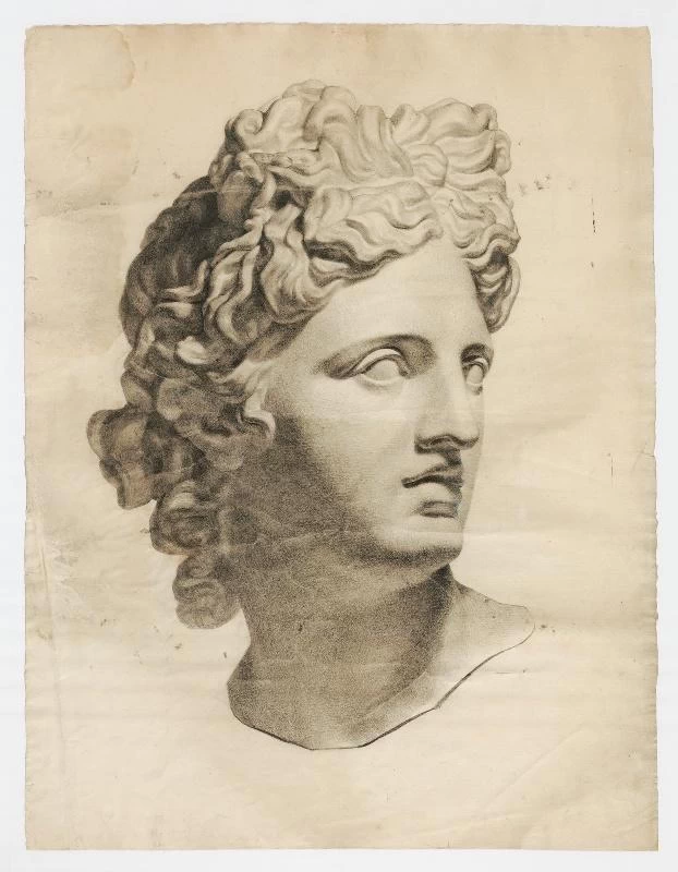 Studio di Apollo del Belvedere - Arles ; musée Réattu
